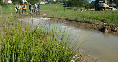 Doubs. Pollution des cours d’eau : 40 actions en justice par les pêcheurs depuis 2020 | Revue de presse | L'habitat & son environnement dans le Doubs : Architecture. Urbanisme. Environnement. Paysage. Logement | Scoop.it