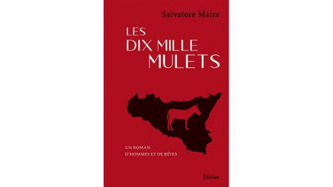 « Les dix mille mulets », entre histoire rocambolesque et réalité historique glaçante | J'écris mon premier roman | Scoop.it