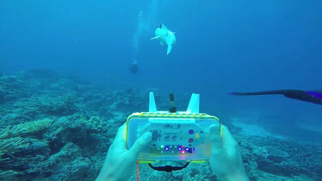 Biologically-inspired soft robots for environmental sustainability | Biomimicry 3.8 | Scoop.it