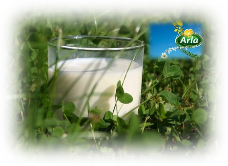 Arla foods UK : Le prix du lait augmente en mars | Lait de Normandie... et d'ailleurs | Scoop.it