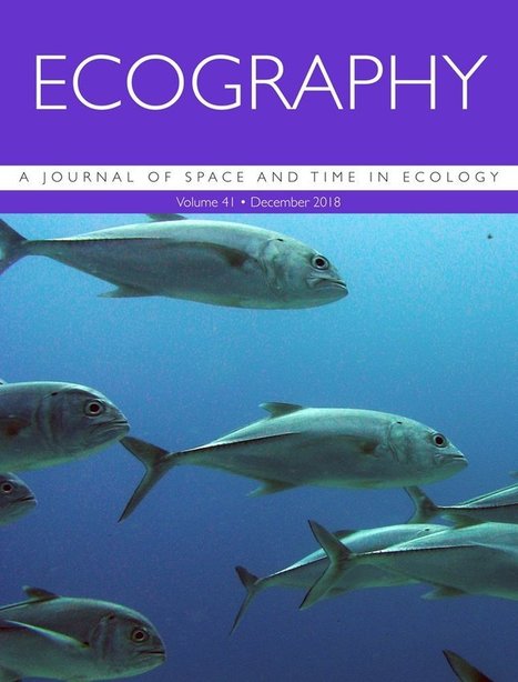 Are island‐like systems biologically similar to islands? A review of the evidence - Itescu - Ecography  | Biodiversité | Scoop.it