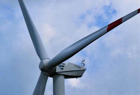 De turbina eólica a gominola, el futuro de esta renovable son ositos comestibles  | tecno4 | Scoop.it