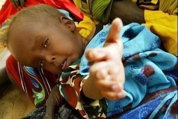 UGANDA | Biofortification is here to give hope to African Malnourished | Food & Nutrition Security in East Africa | Scoop.it