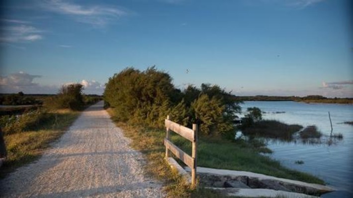 Bassin d'Arcachon, nos adresses confidentielles | Ma douce France | Scoop.it