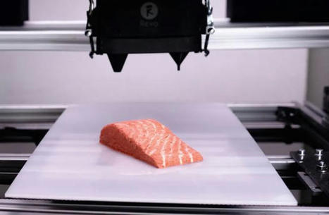 Logran imprimir en 3D un trozo de salmón (y se puede comer) | tecno4 | Scoop.it
