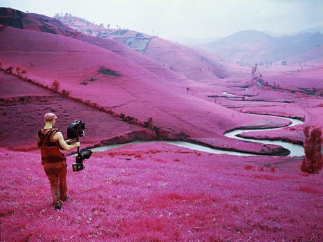 What is Kodak Aerochrome? A Beginner’s Guide to The Confusion of Lomochrome Purple | Découvrir le monde de la photo | Scoop.it