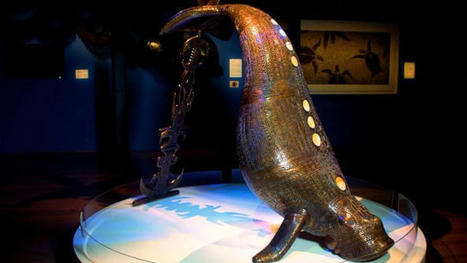 Importance of dugongs for Torres Strait Islander peoples  | K-12 Aboriginal and Torres Strait Islander histories and cultures | Scoop.it