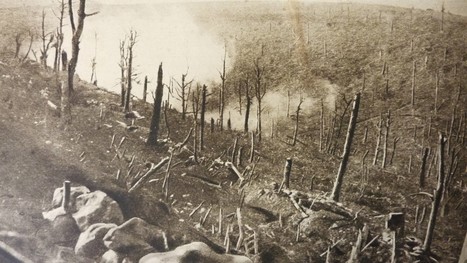 Alexis Turbelier (1897-1918), dans l’enfer de Verdun, avril-mai 1916 | Autour du Centenaire 14-18 | Scoop.it