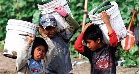 Trabajo infantil: el objetivo de erradicarlo en 2025 pierde fuerza | Esclavitud infantil | Scoop.it