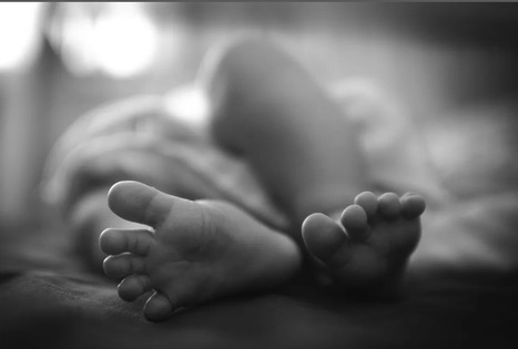 Comprendre la crise de la natalit&eacute; en France en trois infographies | Famille et sexualit&eacute; | Scoop.it