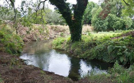 Simulated chemical spill in Utuhina Stream tests skills / le 30.06.2020 | Pollution accidentelle des eaux par produits chimiques | Scoop.it