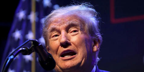 Trump 'screwed, blued and tattooed' if he can't quickly come up with some cash: economist - Raw Story | Backstabber Watch | Scoop.it