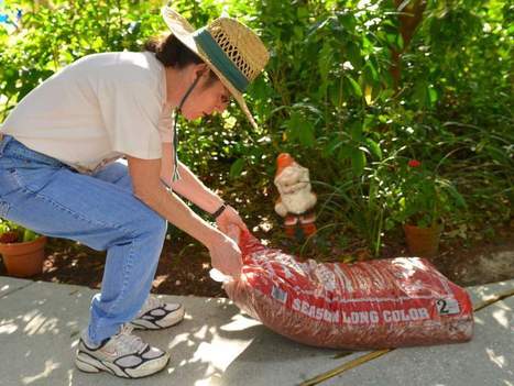 Gardening Dr. Cheryl Stanley-Brown offers safety tips | Gardening Life | Scoop.it