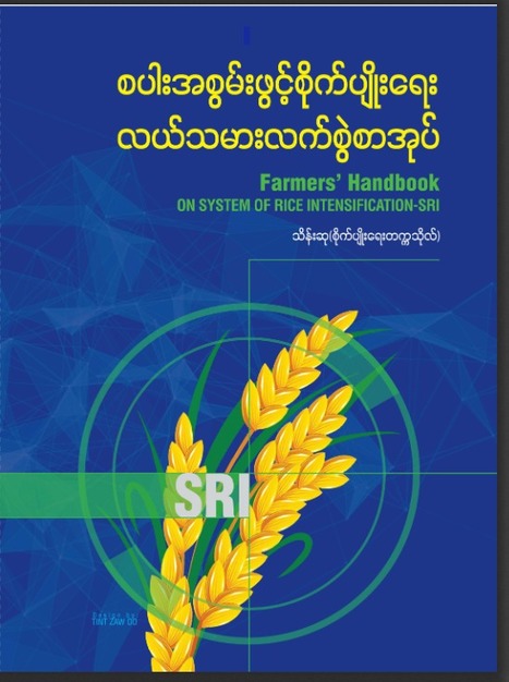 MYANMAR: Thein Su conducts multiple SRI outreach efforts throughout Myanmar | SRI Global News ++ March - May 2025    System of Rice Intensification (SRI) | Scoop.it