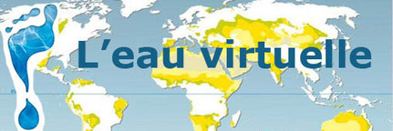 Eau virtuelle, la viande plaide non coupable | La Gazette des abattoirs | Scoop.it