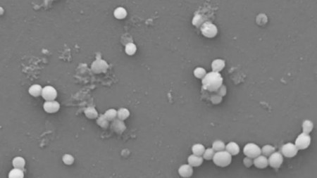 Anti-microbial hydrogel offers new weapon against drug-resistant bacteria | Longevity science | Scoop.it