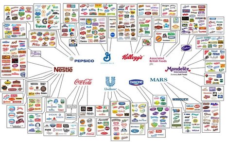 10 Companies That Control Almost Everything We Eat | IELTS, ESP, EAP and CALL | Scoop.it