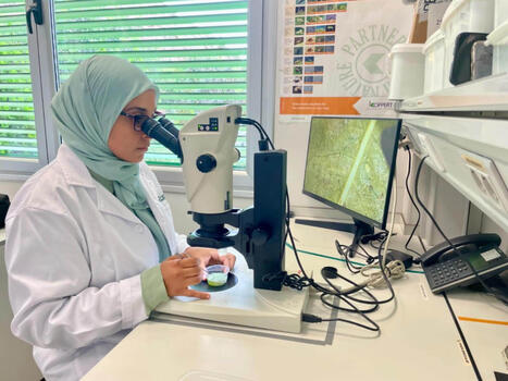 Sarra Bouagga, une chercheure tunisienne récompensée pour ses travaux sur la lutte biologique en Espagne | EntomoScience | Scoop.it