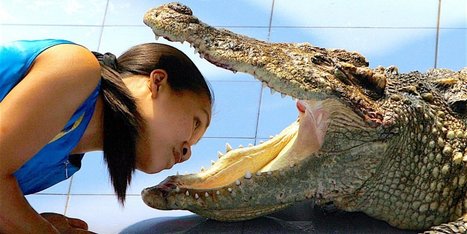 These Are the Worst Mistakes We Have Seen Young People Make in Job Interviews | Teaching Business Communication and Employment | Scoop.it