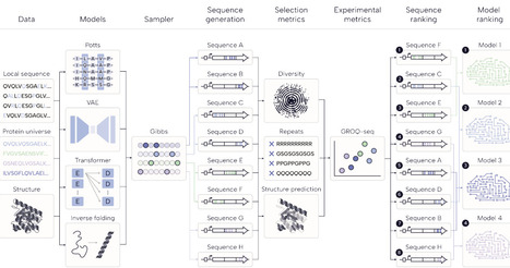 Unified sampling framework and experimental benchmarking of sequence- and structure-based protein models | brvai | RMH | Scoop.it