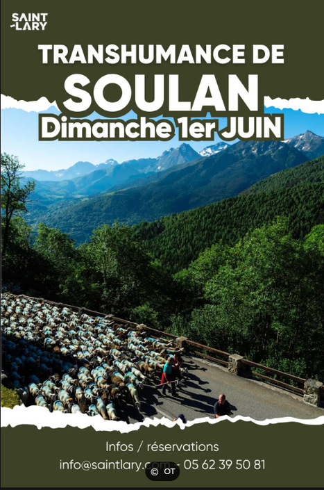 Transhumance de Soulan le 1er juin | Vallées d'Aure & Louron - Pyrénées | Scoop.it