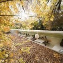 An Office In The Middle Of The Forest | Landart, art environnemental | Scoop.it