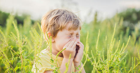 Allergies : le réchauffement climatique dope la production de moisissures et de pollens | Biodiversité | Scoop.it