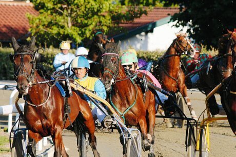 Treize soir&eacute;es au trot | BABinfo Pays Basque | Scoop.it