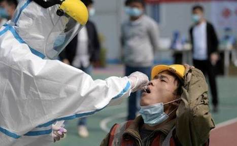 Coronavirus: 90% Of Recovered COVID-19 Patients In China's Wuhan Suffering From Lung Damage: Report | Wuhan, Hubei | Scoop.it