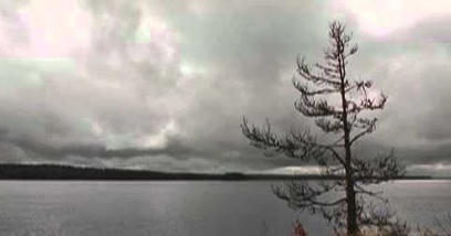 Bazaar: Maha ponteva | 1Uutiset - Lukemisen t&auml;hden | Scoop.it