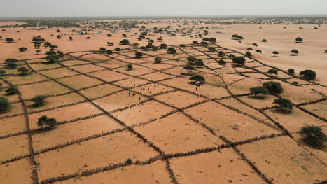 Up to 40% of the World's Land Is Degraded by Humans, UN Report Warns - EcoWatch.com | Operation Deimos | Scoop.it