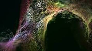 Russian Astrophysicists Claim There's NO DARK E...