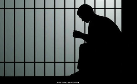 Man Convicted For Daughter's Rape Dies By Suicide In Jail - NDTV.com | Operation Phobos | Scoop.it
