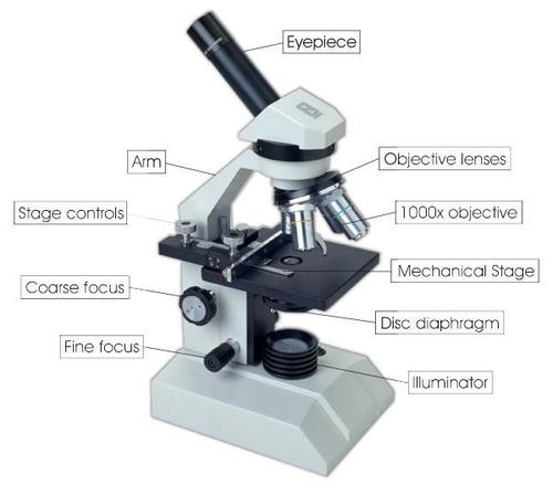 (EN) – Optical Microscopy Glossary for Translators | dyerlabs.com – 📚 ...