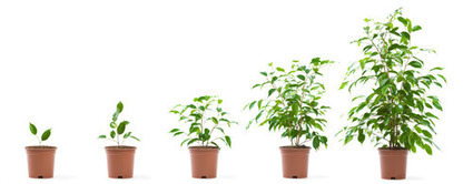 Growing Pains - Lessons From People Who Grew Linkedin, KISSMetrics & Livingsocial | Tools, Tips for Business | Scoop.it