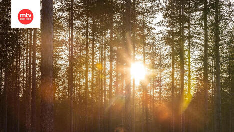 Nyt paukkui kev&auml;&auml;n l&auml;mp&ouml;enn&auml;tys&ndash; vastaavia lukemia ei hetkeen luvassa | 1Uutiset - Lukemisen t&auml;hden | Scoop.it