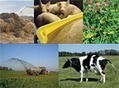 INRA - Audiovisuel - Colloque_esco_élevage-azote | SCIENCES DE L' ANIMAL | Scoop.it