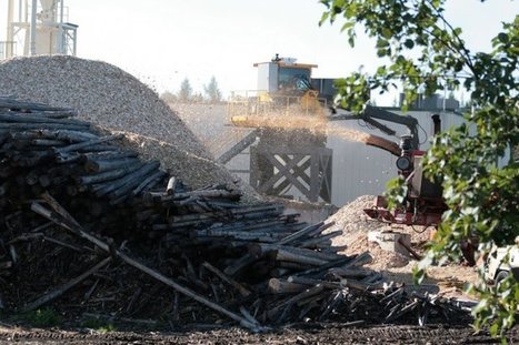 Le granulé de bois utilisé en Europe détruit les forêts des Etats-Unis | Build Green, pour un habitat écologique | Scoop.it