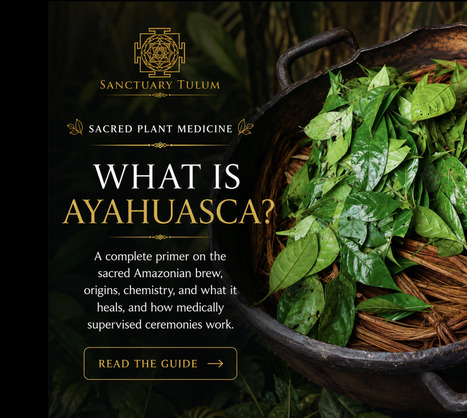 What Is Ayahuasca? 6 Honest Answers, Explained | Holistic Sanctuary | Scoop.it