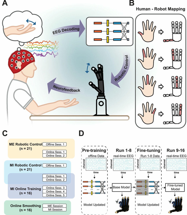 Brain-computer interface robotic hand control reaches new finger-level milestone | Brain Computer Interfaces & connected medical devices | Scoop.it