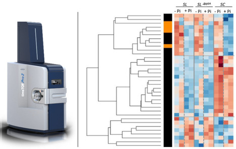 FOCUS PLATEFORME : Prot&eacute;omique-Gif (I2BC): des analyses de spectrom&eacute;trie de masse performantes &agrave; l&rsquo;exploration en profondeur du prot&eacute;ome | Life Sciences Universit&eacute; Paris-Saclay | Scoop.it