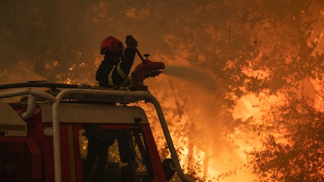 Incendies en France: le parquet de Bordeaux fait &eacute;tat de 22 proc&eacute;dures ouvertes "pour des faits de vols par effraction" | Incendies Landes-Gironde. Impacts, Aide d'urgence & Solidarit&eacute; | Scoop.it