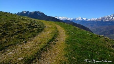 Randonnée au Pic de Montaut (1722m) | Les Topos Pyrénées par Mariano | Vallées d'Aure & Louron - Pyrénées | Scoop.it