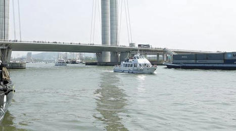 Rouen&nbsp;: Une pollution aux pesticides identifi&eacute;e dans la Seine / le 25.05.2021 | Pollution accidentelle des eaux par produits chimiques | Scoop.it