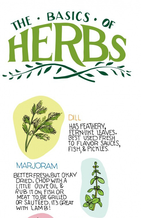 The basics of herbs | Gardening Life | Scoop.it