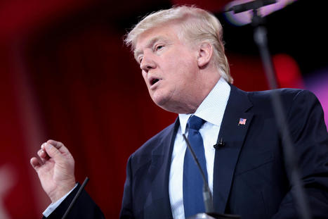 Trump Suffers Major Loss In E Jean Carroll Defamation Case - CrooksAndLiars.com | Operation Oya | Scoop.it