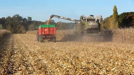 Etats-Unis Les objectifs de production de biocarburants sont augmentés pour 2017 | ITERG Environnement et Eco-industries | Scoop.it