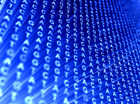 Genomic Data Growing Faster Than Twitter, YouTube and Astronomy | Amazing Science | Scoop.it