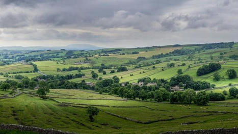 Agroforesterie : b&eacute;n&eacute;fices pour les sols et l'eau - Terre-net | Pour innover en agriculture | Scoop.it