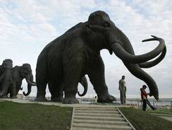 Mammoth fragments from Siberia raise cloning hopes | History 2[+or less 3].0 | Scoop.it